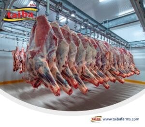 wholesale beef & Meat near me In UAE & Gulf
