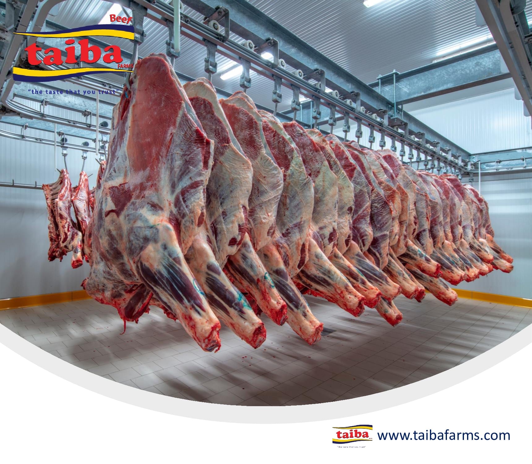 wholesale beef & Meat near me In UAE & Gulf | taiba farms