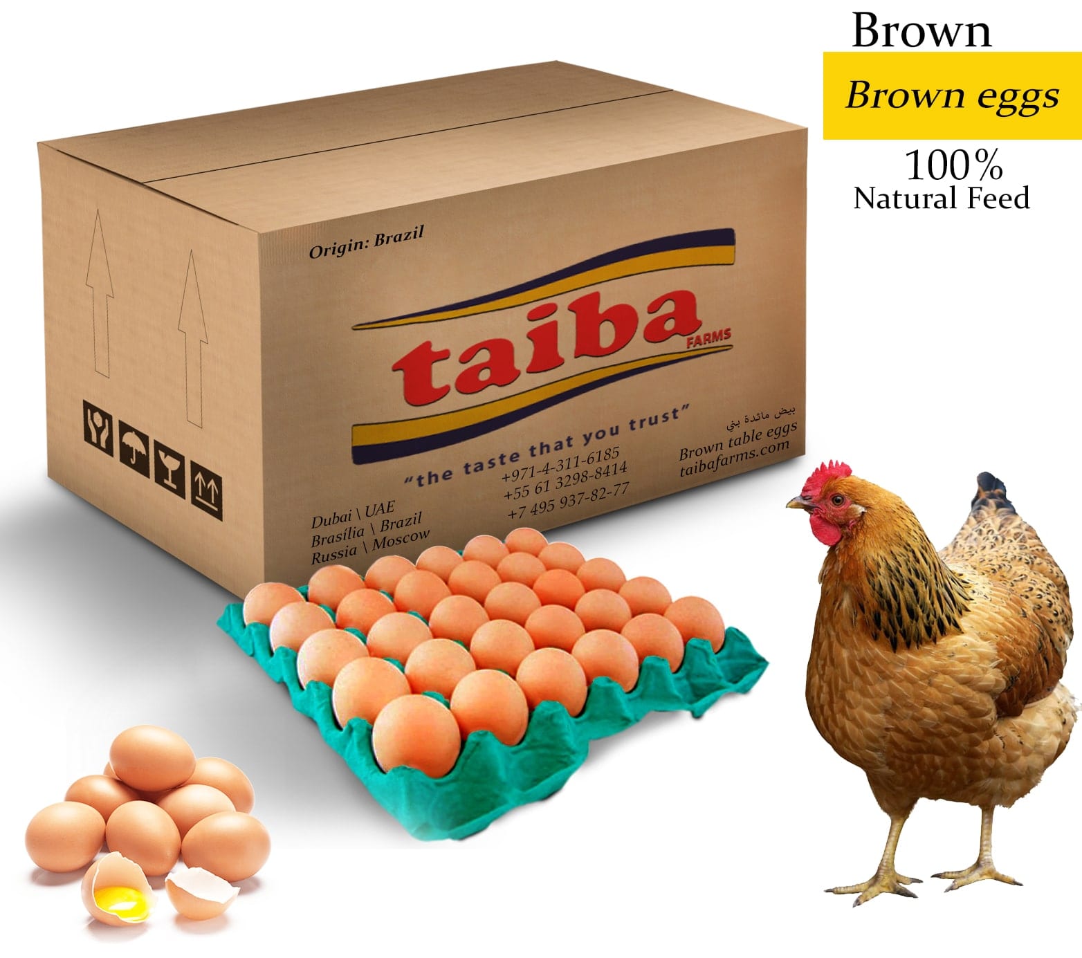 Fertile eggs in Zimbabwe, poultry fertilized eggs, hatching eggs, cobb